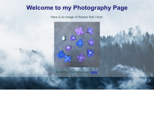 photography screenshot
