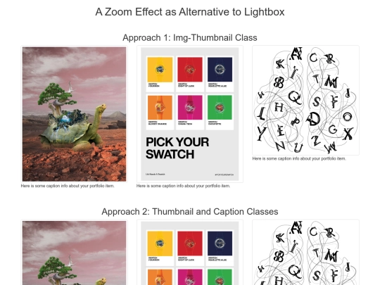 zoom screenshot