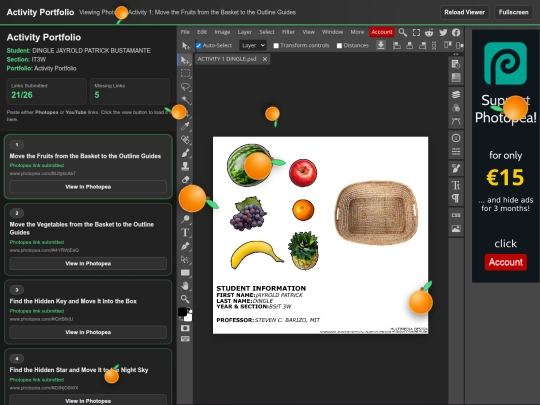 Online Activity Portfolio (2) screenshot