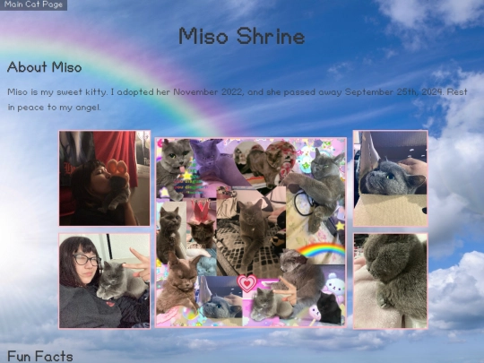 Shrines/Miso screenshot