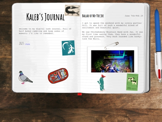 journal/journal screenshot