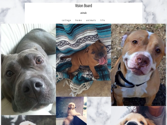animals screenshot
