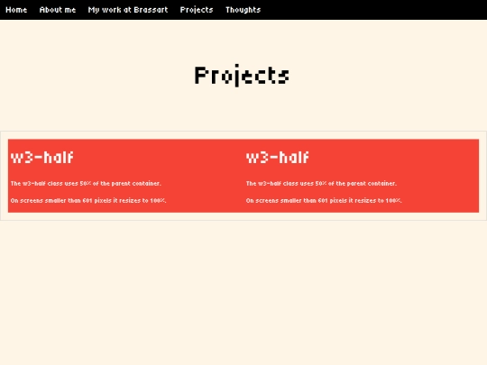 projects screenshot
