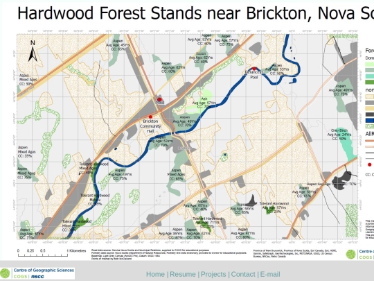 Brickton screenshot