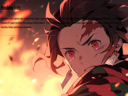 demon slayer/hashira screenshot