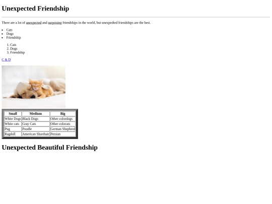 newfile screenshot