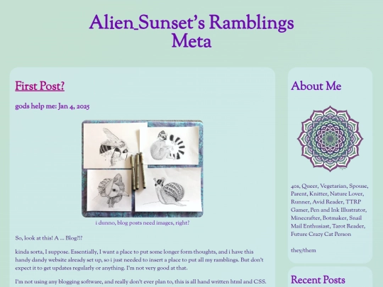 blog/tags/meta screenshot