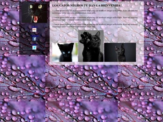 marketing/gatos screenshot