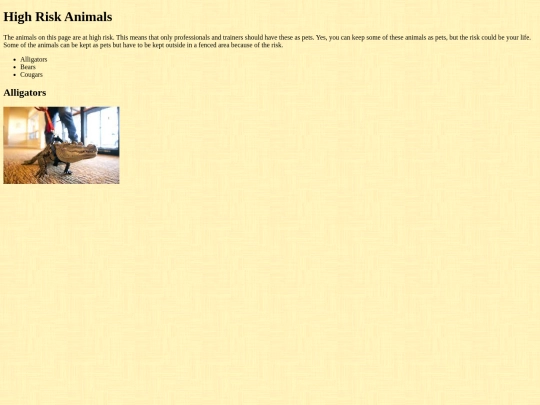 HighRisk screenshot