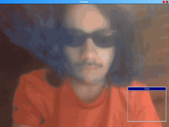 livecam screenshot