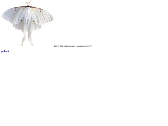 error screenshot