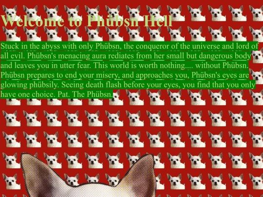 phoebe screenshot