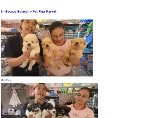 sub/dogs2 screenshot