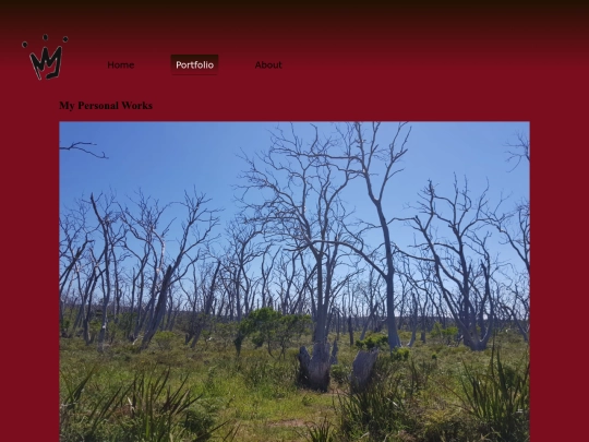 portfolio screenshot