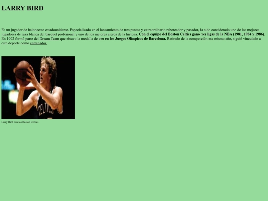 Proyecto final/larrybird screenshot