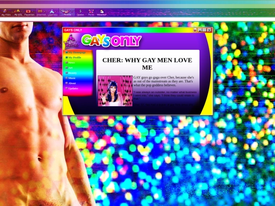 cher-gay-men screenshot