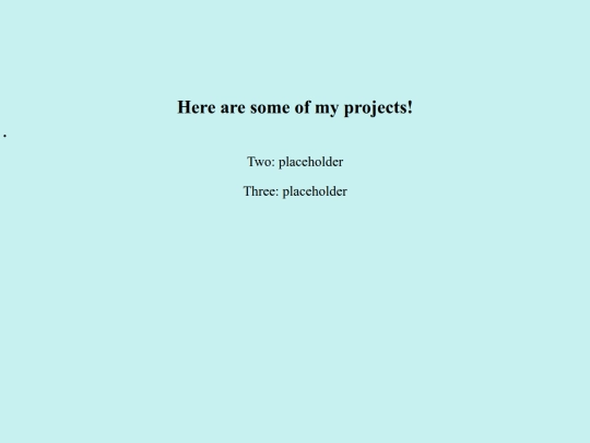 projects screenshot