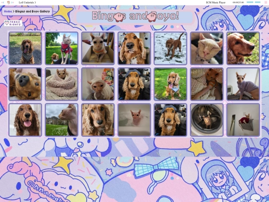 Pageshtml/gallery screenshot