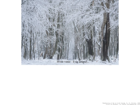 vinterStil/h/hHvidt screenshot