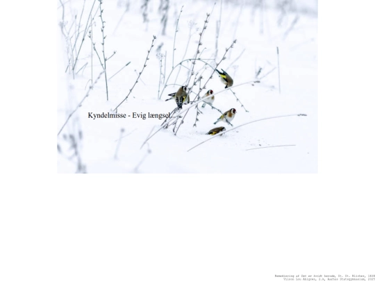 vinterStil/v/vTyst screenshot