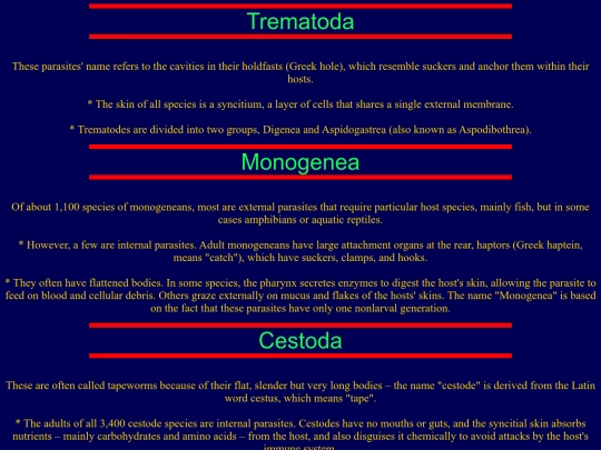 fourth page screenshot