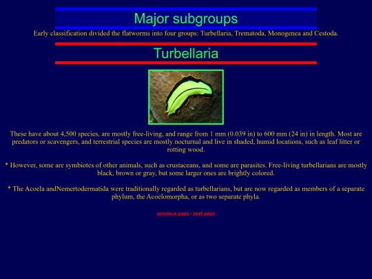 third page screenshot