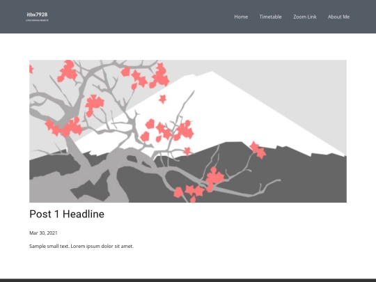 blog/post screenshot