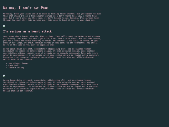 zines/zineabout screenshot