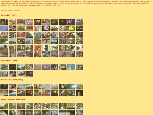 photo screenshot
