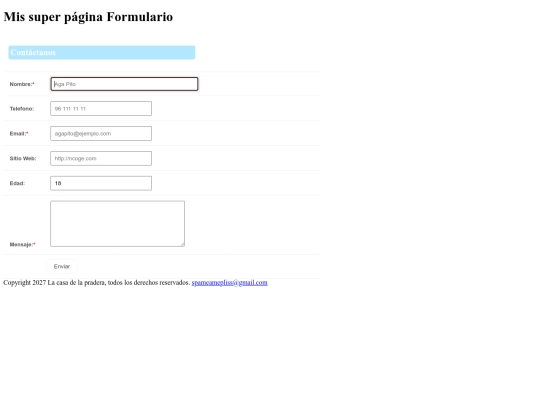 Formulario screenshot