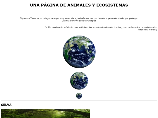 Ejercicio05 screenshot