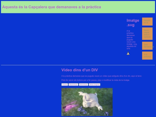 divendres_5/21412341234 screenshot