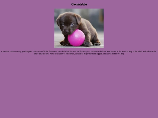 chocolatelabs screenshot
