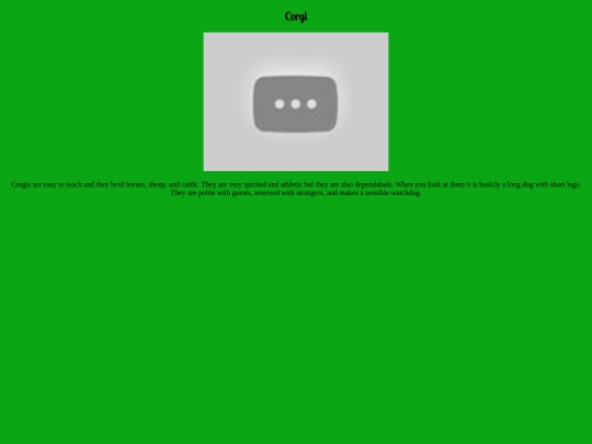 corgi screenshot