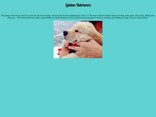 goldenretrievers screenshot