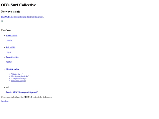 Website (copy) screenshot
