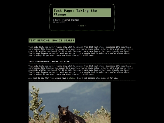 lit/testpage screenshot