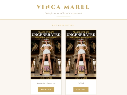vincamarel_site screenshot