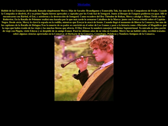 pruebafinal/meriadoc screenshot