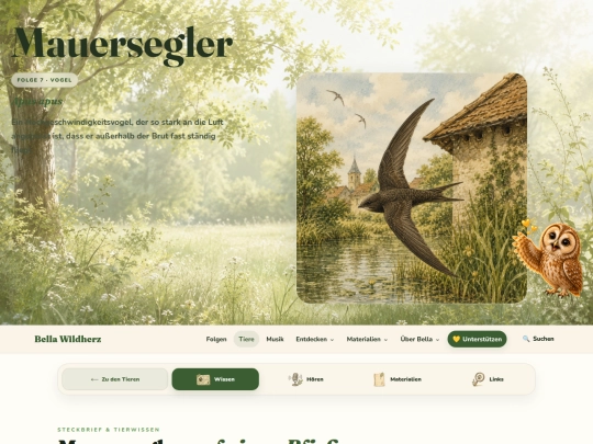 Tiere/mauersegler screenshot