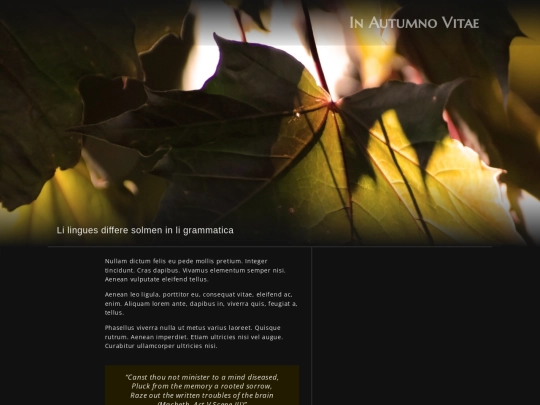 proto/autumn screenshot