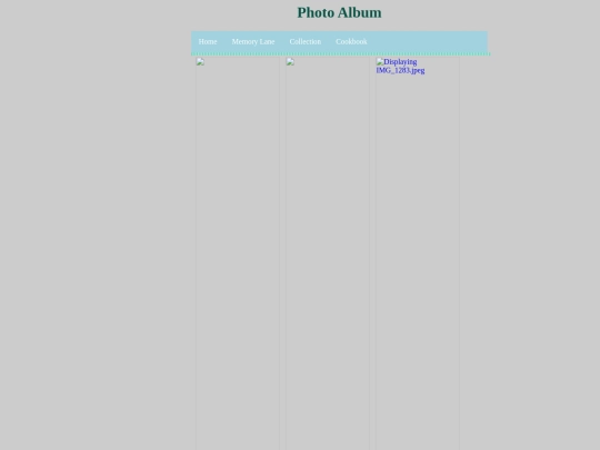 photoalbum screenshot