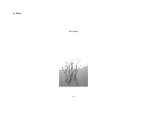 werewolf/32 screenshot