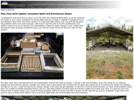 blog/2025-05may-02-bees-and-garden screenshot