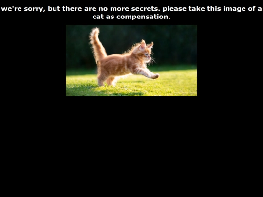 shart screenshot