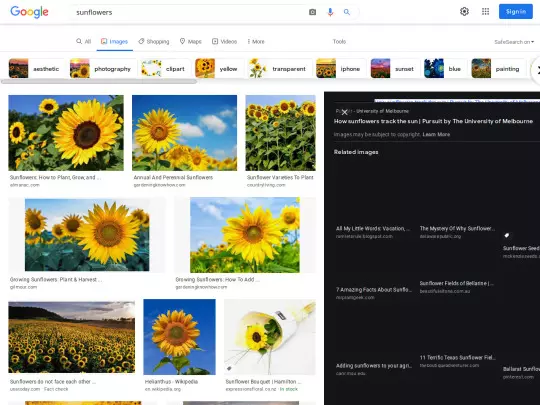 Images/sunflowers - Google Search screenshot