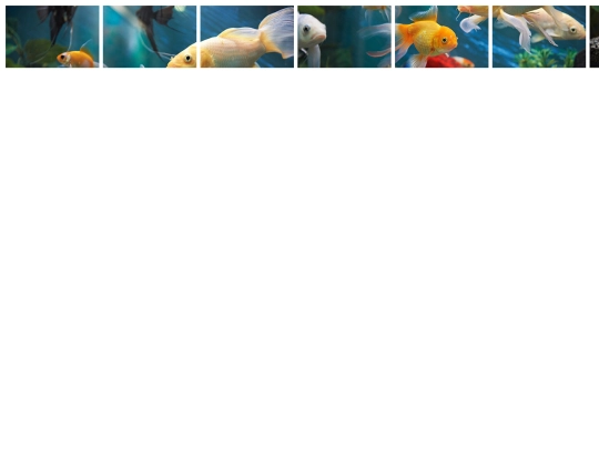 2puzzle screenshot