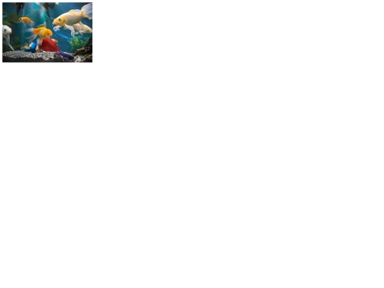 keadysfish screenshot