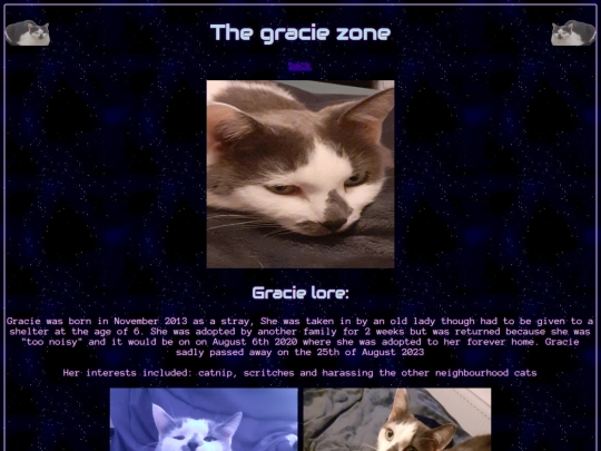 cat screenshot