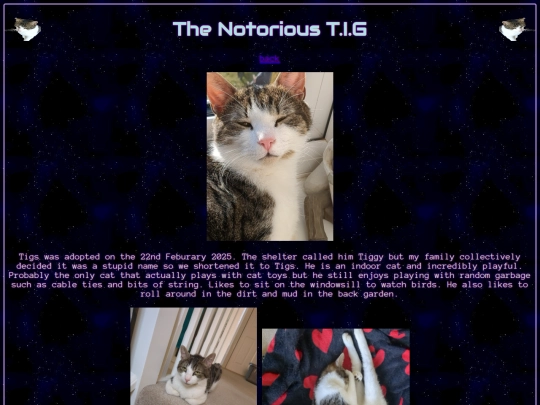 tigs screenshot